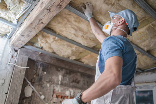 Best Affordable Insulation Services  in Shell Point, SC