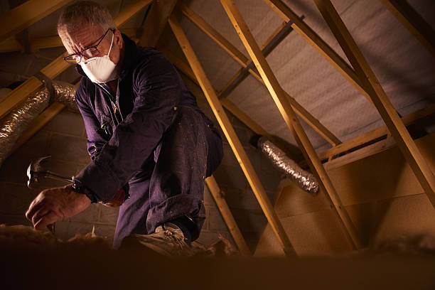 Best Insulation for New Construction  in Shell Point, SC